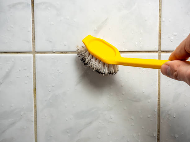 Best Affordable Mold Removal  in Bell, CA