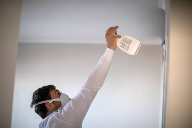 Best Office Mold Removal Services  in Bell, CA