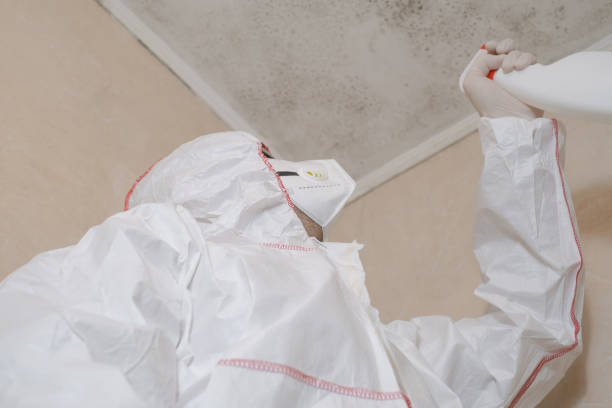 Best Crawl Space Mold Removal  in Bell, CA