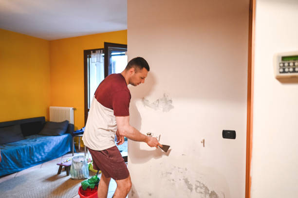 Best Mold Damage Repair  in Bell, CA
